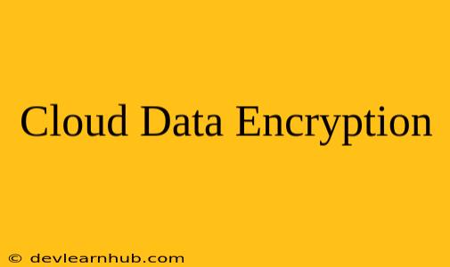 Cloud Data Encryption