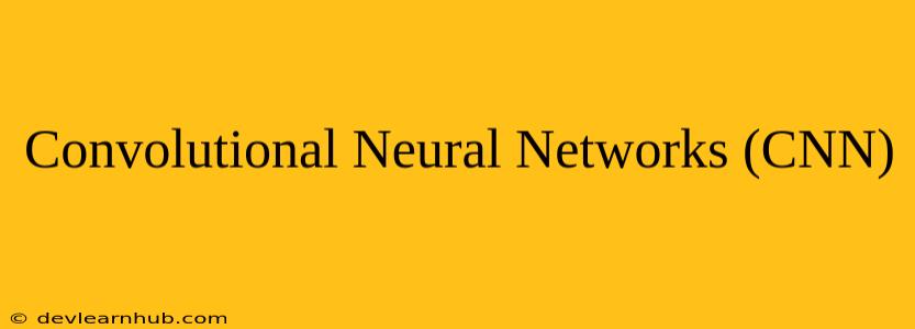 Convolutional Neural Networks (CNN)