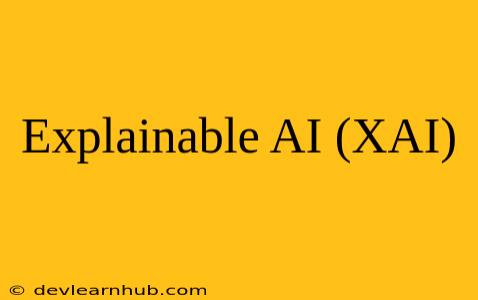 Explainable AI (XAI)