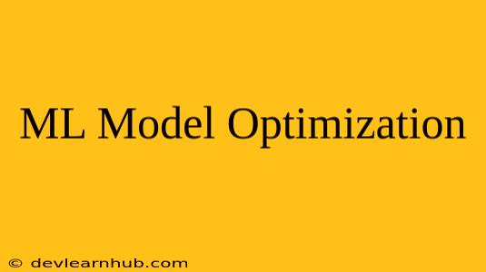 ML Model Optimization