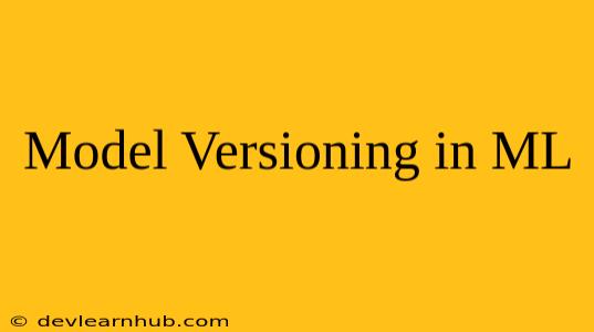 Model Versioning in ML