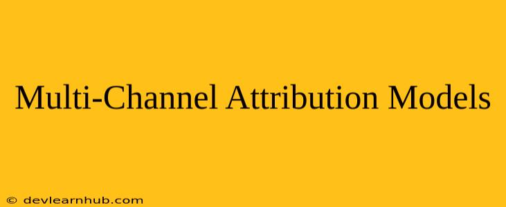 Multi-Channel Attribution Models