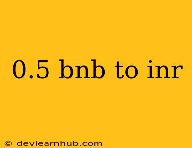 0.5 Bnb To Inr
