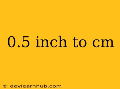 0.5 Inch To Cm