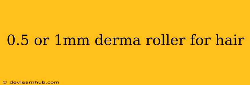 0.5 Or 1mm Derma Roller For Hair