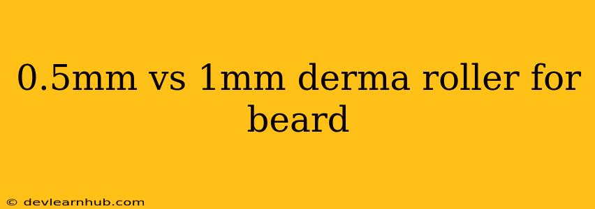 0.5mm Vs 1mm Derma Roller For Beard