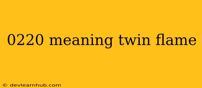 0220 Meaning Twin Flame