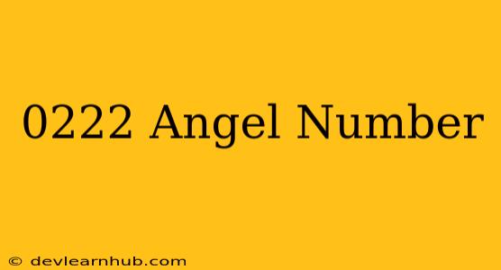 0222 Angel Number คือ