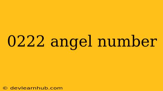 0222 Angel Number
