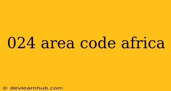 024 Area Code Africa