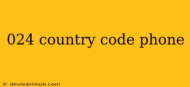 024 Country Code Phone