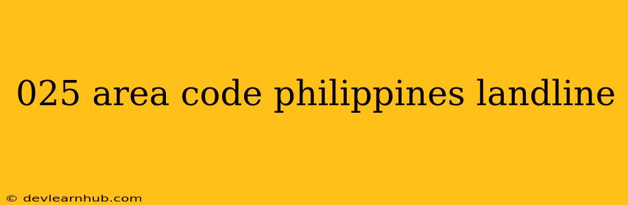 025 Area Code Philippines Landline