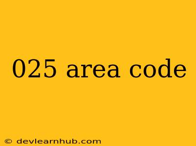 025 Area Code