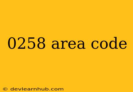 0258 Area Code