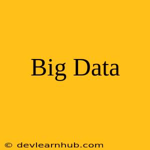 Big Data