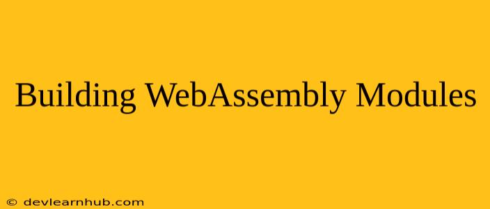 Building WebAssembly Modules