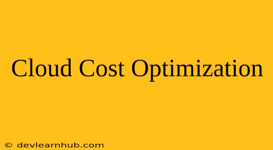 Cloud Cost Optimization