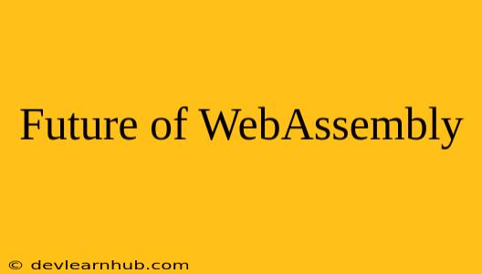 Future of WebAssembly