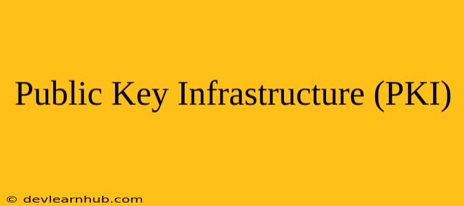 Public Key Infrastructure (PKI)